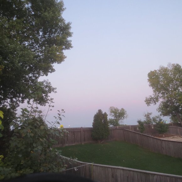 Brand New Bolle Ski and Athletic Eye Safety Goggles. - Picture 8 of 13